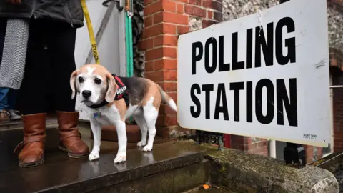 A white and light brown dog on a step next to a white sign with the words polling station written in black