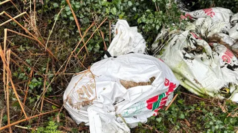 Plastic bags lying in greenery, with fluffy animal skin visible poking out of them