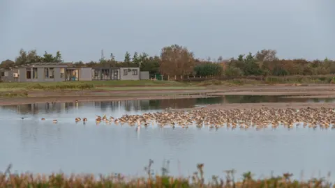 Frampton Marsh Nature Reserve