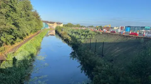 BBC A section of the canal in sunlight with light reflecting on the blue surface of the canal with patches of green plants visible. Alongside  are buildings and trees