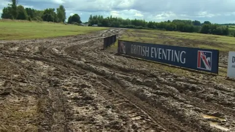 BBC The field at Gatcombe Park