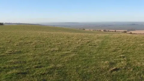 Geograph/MJ Richardson Chalk grassland at Sharpenhoe Clappers, Chilterns AONB