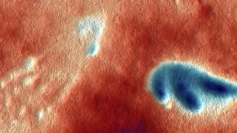 University of Leicester False colour image of fossil pterosaur prints showing the impression of a foot and hand
