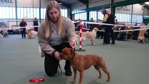 Danny Cooper Jennie Logan with her dog Mouse at a dog show. She is putting a harness around Mouse's neck. She is kneeling down, facing the camera. Other people and their dogs can be seen in the background.