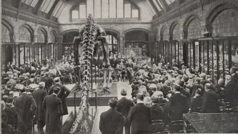 NHM The unveiling of Dippy in 1905