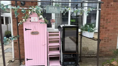 Pink cake shed in garden