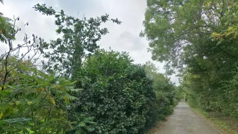 The image a patch cutting through some bushes and trees. Grey clouds can be seen in the background.