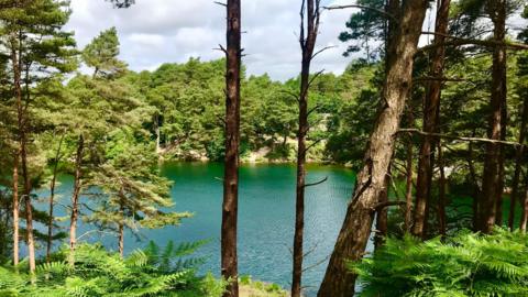 SUNDAY - The vivid Blue Pool is surrounded by trees. The water is a bright blue because of natural minerals at the site. There are steep banks around the water with tall green pine trees. It is a sunny day but there are grey clouds in the sky.