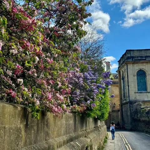 estherjohnsonphotography SUNDAY - Oxford