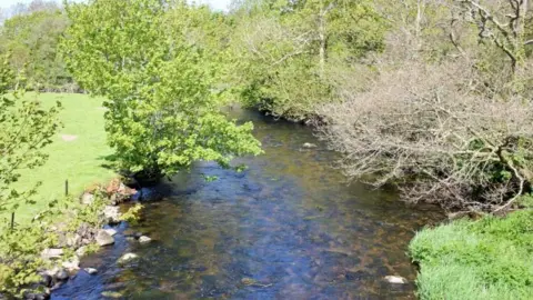 Afon Gwyrfai flowing on a sunny summer day with trees and fields either side.