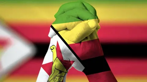 Shutterstock/Twitter Zimbabwean Lives Matter graphic - hands clasped over Zimbabwe flag