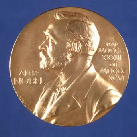 Nobel Foundation A Nobel Prize winners' medal