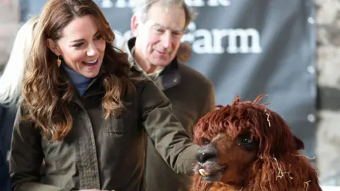 Getty Images Duchess of Cambridge with an alpaca on her visit to farm