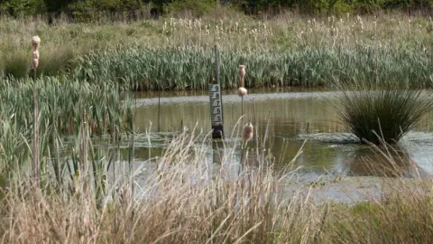 Thames Water An area of water surrounded by reeds, with a gauge in the middle showing the level has fallen below what it should.
