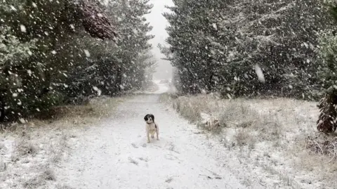 Sheila/BBC Weather Watchers Skirling