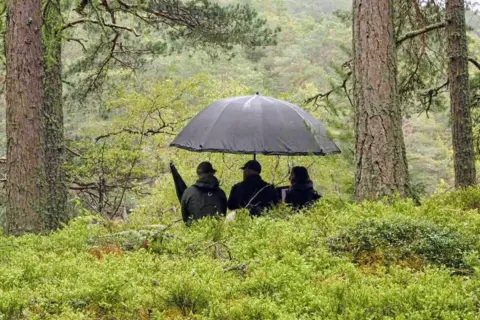 David Hatton Three people under a black umbrella in amongst trees and green foliage.