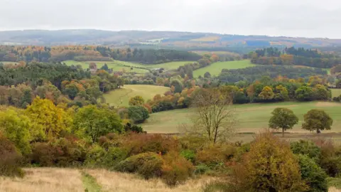Surrey County Council An ariel shot of vast green trees and landscape. 