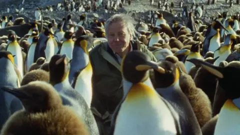 Attenborough sitting, speaking into the camera, among a dense crowd of penguins and their fluffy grey chicks