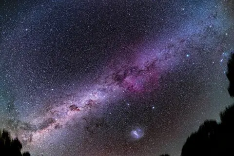 The picture shows a dark night sky filled with countless tiny stars, with no buildings or people visible. Across the middle runs a broad, diagonal band of the Milky Way, glowing in shades of pink, purple and white, mottled with darker dust lanes. At the bottom, silhouetted tree tops frame the scene, while a small, bright cloud of light near the centre bottom hints at a nearby galaxy or nebula.