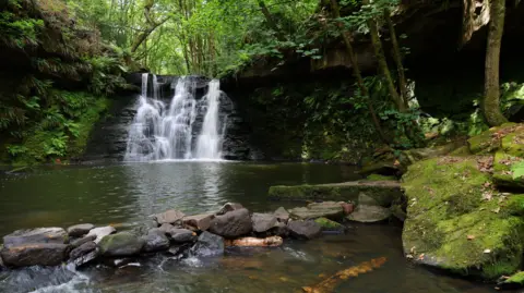 Friends of Goit Stock Wood A serene woodland scene featuring a waterfall, pool and surrounding rocks and woodland.