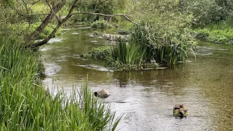 The River Kennet showing reeds and rocks