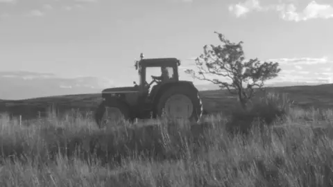 Phoebe Bridgers Phoebe Bridgers drives a tractor