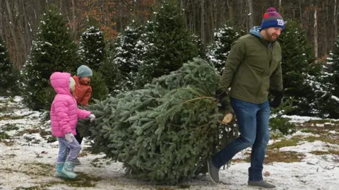 Getty Images A man carries a Christmas tree along the snowy ground. He is wearing a hat and gloves, and pulls the trunk. Two children are behind at the top of the tree, wearing bright coats and wellies. The family looks excited to be taking their Christmas tree home. 
