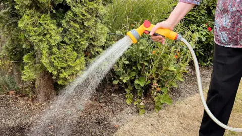 A person holding a hosepipe and watering a garden.