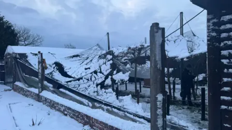 Twycross Zoo Snow on top of a collapsed aviary in a zoo