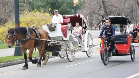 a44c0180-6ab7-11f1-b1db-af71d47507d6.jpg Teenager dies in horse-drawn carriage accident in New York