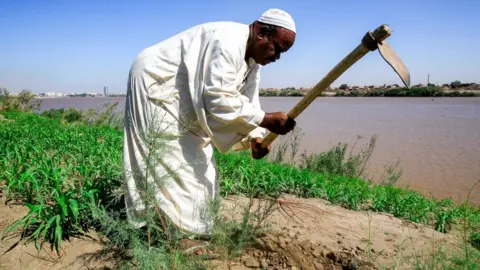 AFP A Sudanese farmer by the River Nile