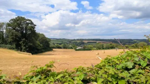 Crops not Concrete A field with hay bales.