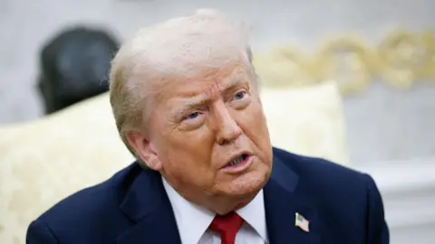A headshot of Trump