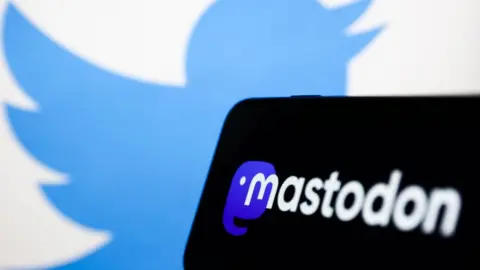 NurPhoto The Twitter and Mastodon logos