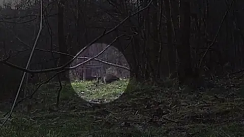 Hunt Investigation Team Badger making its escape