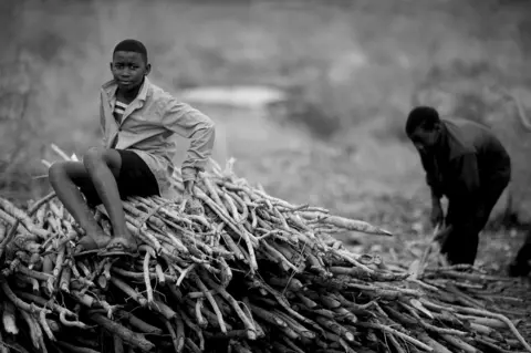 Mario Macilau Aniceto sitting on top of a pile of firewood