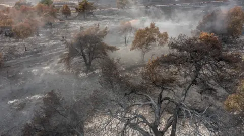 Justin Minns/National Trust/PA Wire Smouldering trees and heathland in the aftermath of a fire which caused extensive damage to Dunwich Heath, Suffolk August 2026. 