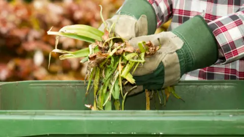 A picture of a person who is wearing gardening gloves dumping garden waste into a green wheelie bin.