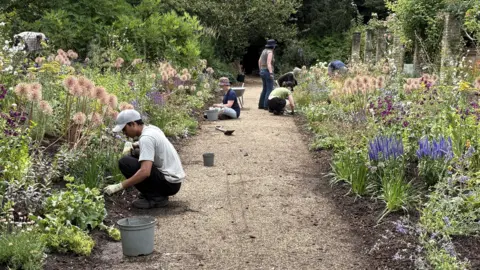 A group of people kneeling on the edge of gravel path planting flowers in the soil borders.