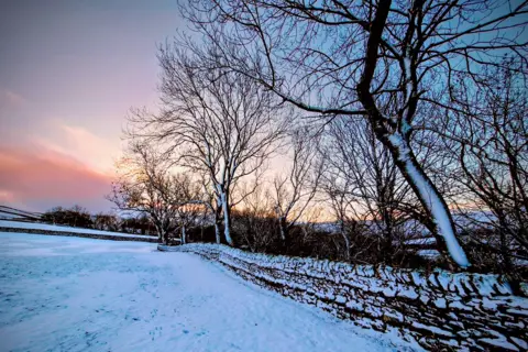 BBC Weather Watchers / Espry The field and surrounding trees are dusted with bright white snow. The sky has pink and purple hues.