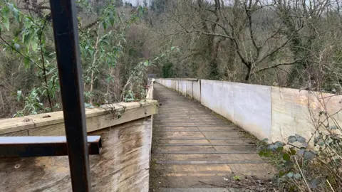 Carmelo Garcia Image shows a bridge in disrepair with trees growing beside it.