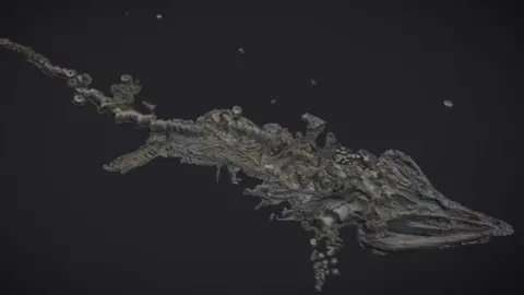 Thinksee3D 3D scan of fossil