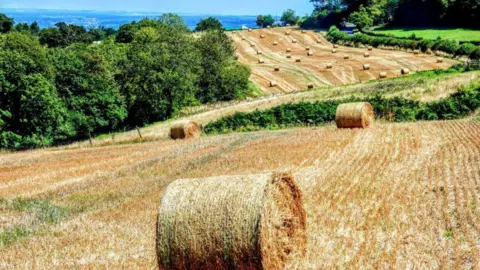 Andy Chapman Country scene in Brightling