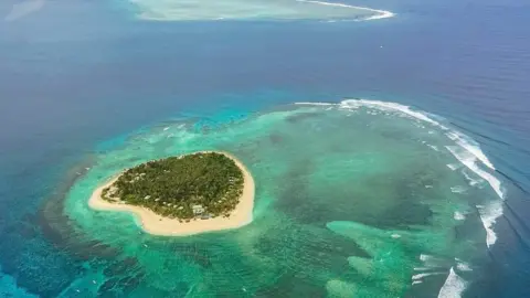 Triphackr A tropical island