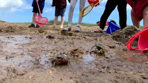 People crabbing in Walberswick, Suffolk.