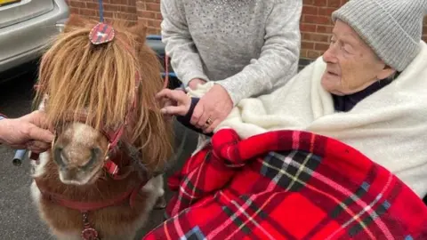 Red Roofs Residential Care Home Gladys and the pony