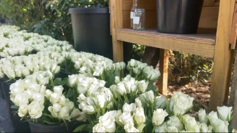 Jasmine Lowe/BBC A line of bouquets of white roses in black buckets.