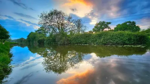 Joanna Kaczorowska Trees and bushes reflecting in the water of a canal 