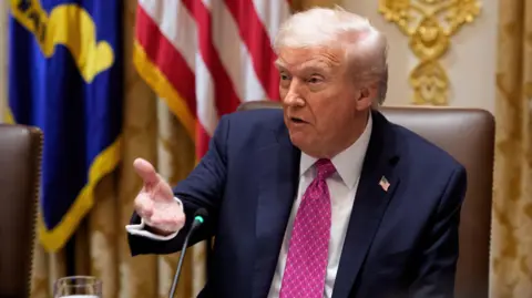 EPA A white-haired man in blue jacket, white shirt and pink tie speaks and gestures in an ornate office.