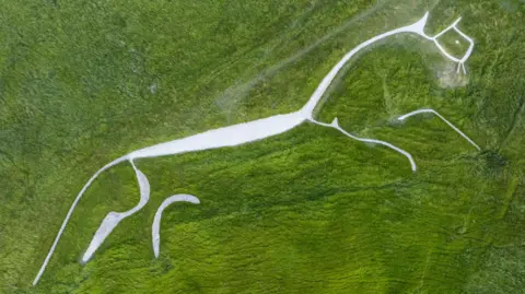 PA Media National Trust Uffington White Horse after a phase of refurbishment where erosion and bad weather have caused shrinkage of the Bronze Age chalk carving over the decades. The artwork measures 111-metres long from head to tail and depicts a white horse near the Oxfordshire village of Uffington.